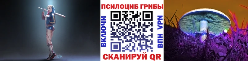 Псилоцибиновые грибы мухоморы Апшеронск